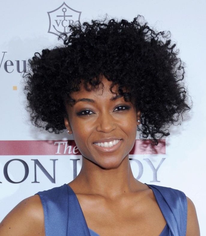 African American Short Natural Curly Hairstyles
