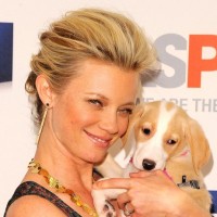 Celebrity Amy Smart French Twist Updo