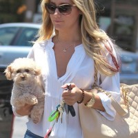 Ashley Tisdale Ombre Hair Color