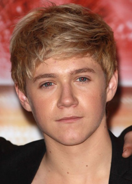 One Direction Niall Horan Haircuts for Young Guys