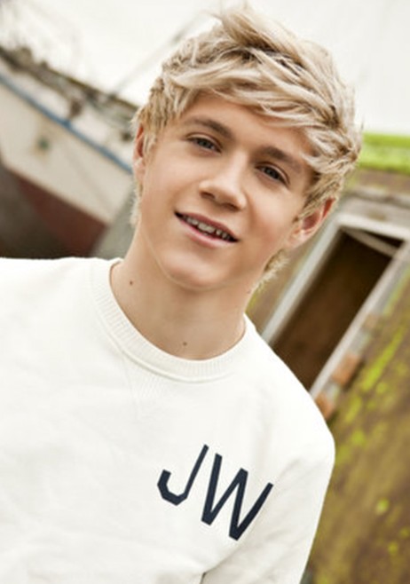 2013 Hairstyles for Men: Niall Horan Messy Hairstyles for Boys