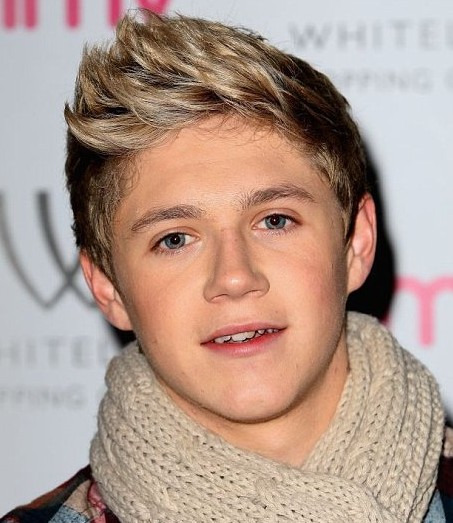 2013 Stylish Haircut for Guys: Niall Horan Spiky Hairstyles for Guys