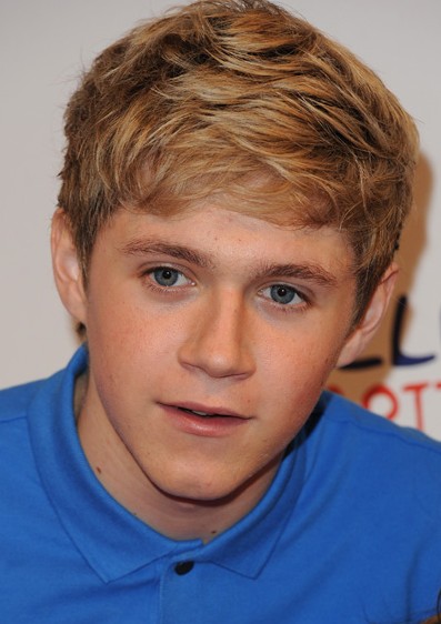 2013 Hairstyles for Guys: Niall Horan hairstyles for guys