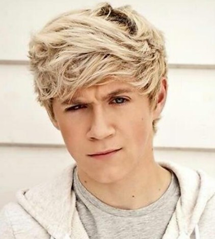 Niall Horan messy blond hairstyle