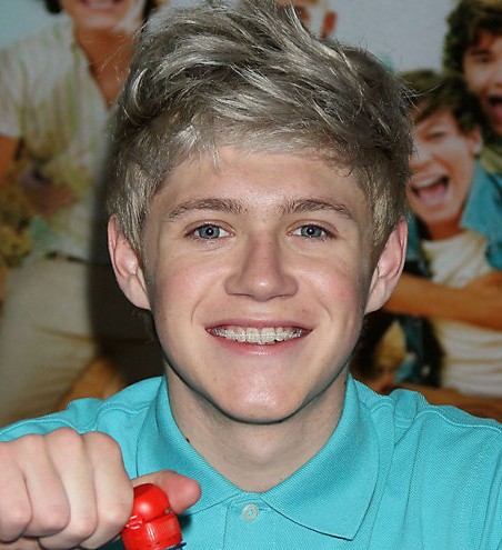 Niall Horan Latest Hairstyle for Guys