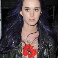 Purple Hairstyles for Long Hair