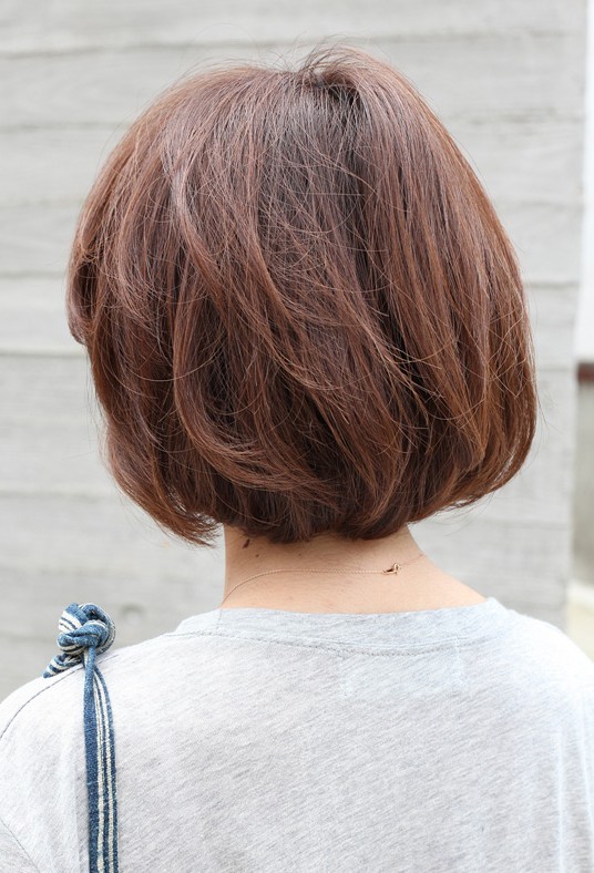 Back View Short Brown Bob Hairstyle