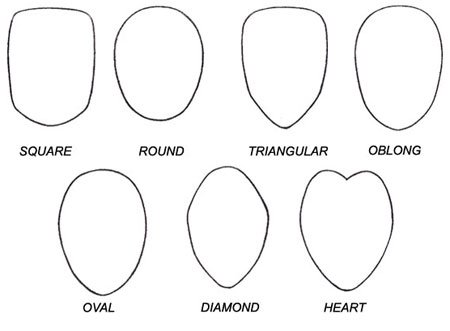 Face shapes