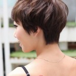 Back View of Layered Pixie Cut - Short Pixie Cut for 2014