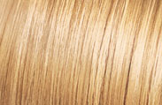 Hair Color Chart:Sunflower Blonde 