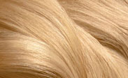 Hair Color Chart: Light Blonde