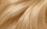 Hair Color Chart: Light Golden Blonde