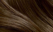 Hair Color Chart: Light Cool Brown
