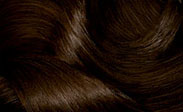 Hair Color Chart: Dark Golden Brown