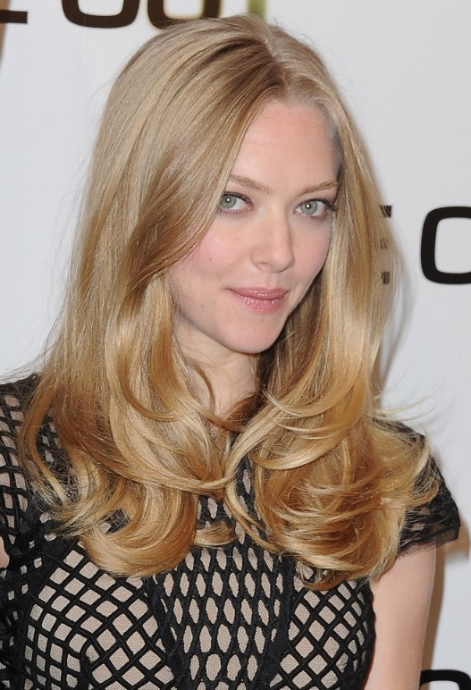 Amanda Seyfried Long Hairstyle - Middle Part Layered Hairstyle