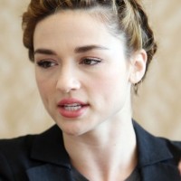 Crystal Reed French Braided Updo 2013