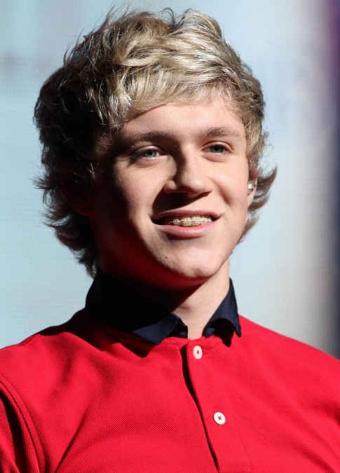 Niall Horan Haircut 2013: Latest Hairstyles for Guys