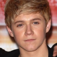 Niall Horan hairstyle with razored ends - Hairstyles Weekly