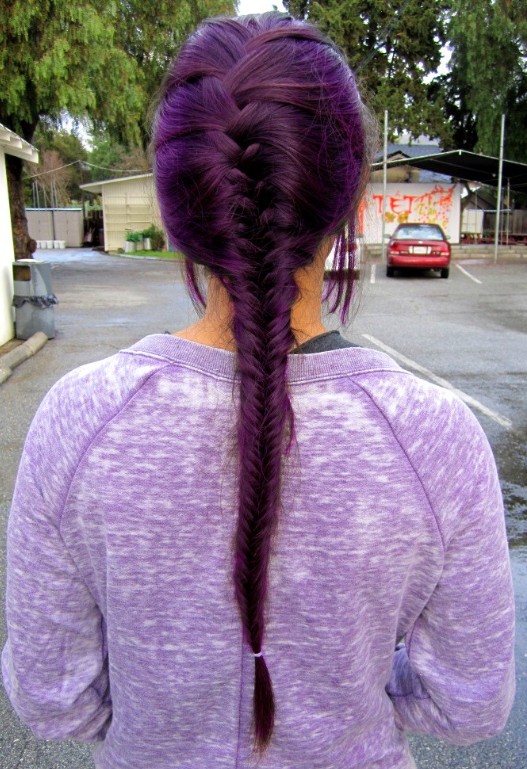 Purple French Fishtail Braid  for Long Hair