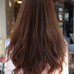 Back View of Asian Long Hairstyle