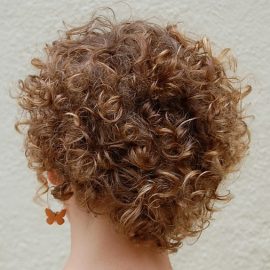 Back View of Short Curly Hairstyle for Women