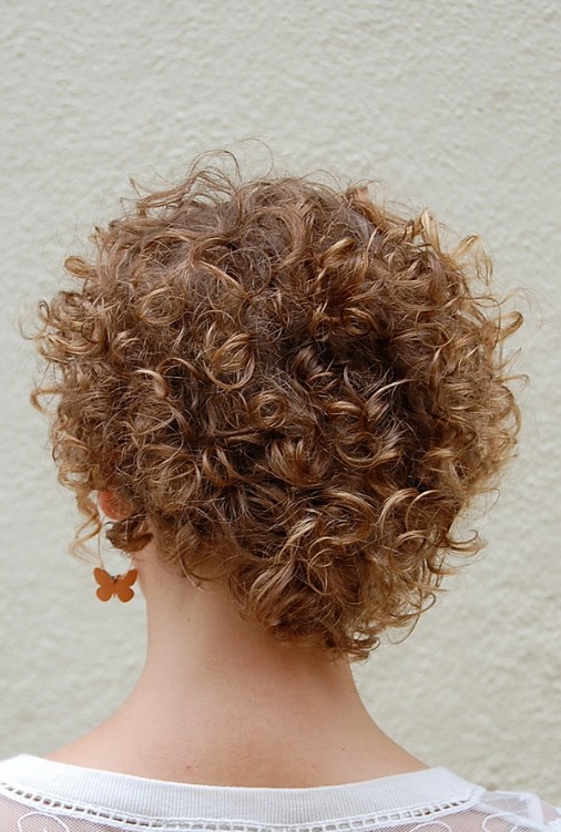Back View of Short Curly Hairstyle for Women