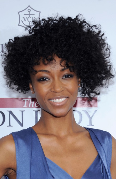 Yaya DaCosta Short Black Curly Hairstyle - Hairstyles Weekly