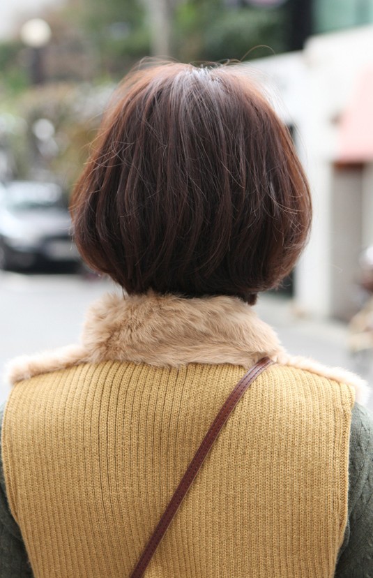 Back View Of Hairstyles