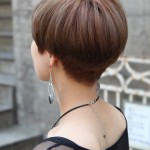 Back View of Cute Short Japanese Haircut - Back View of Bowl (Mushroom) Haircut