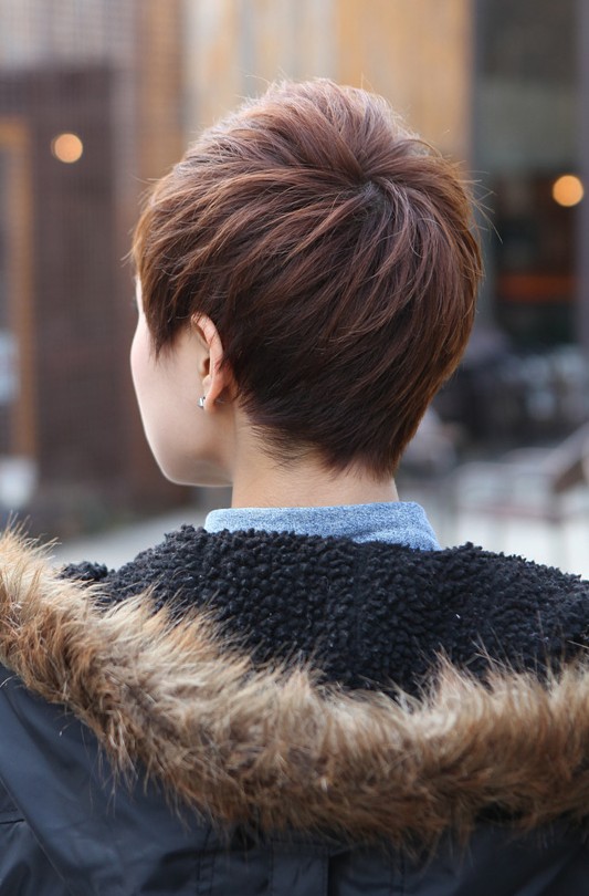 Back View of Short Layered Boyish Cut - 2013 Pixie Cut ...