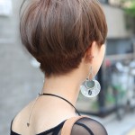 Short Straight Haircut for Asian Women - Back View of Asian Bowl Cut