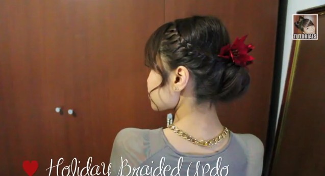 Back View of Braided Updo Hairstyle