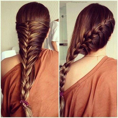 Gorgeous Braided Hairstyles for Girls (15)