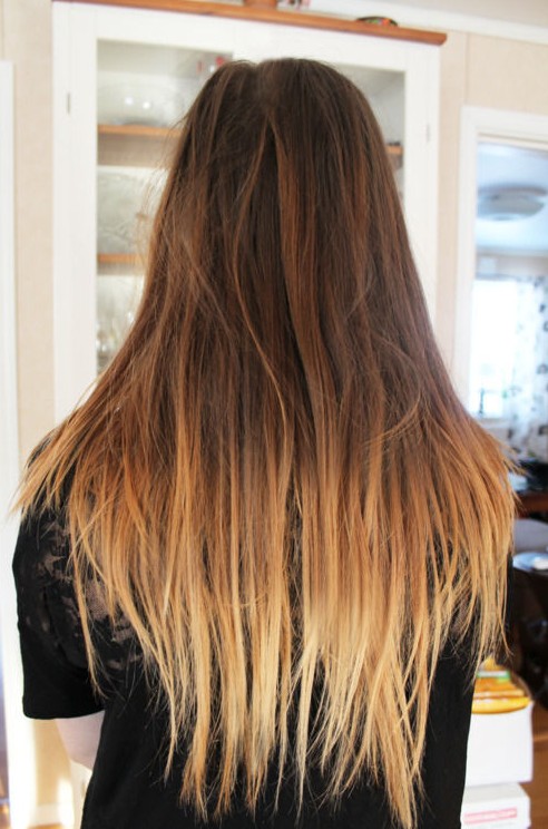 Brown To Light Brown Ombre Hair Hairstyles Weekly