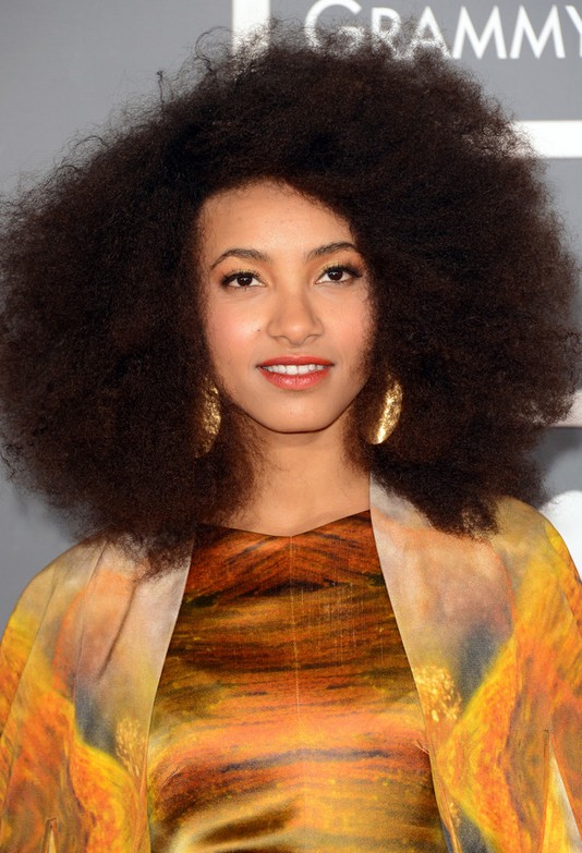 Esperanza Spalding Brown Afro Curly Hairstyle for Women