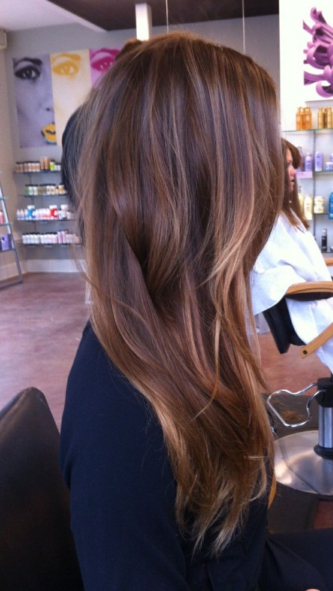 Long brown hair with blonde highlights