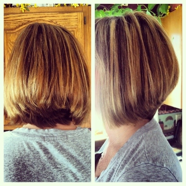 Simple Natural Look The Layered Bob Haircut For Thick Hair