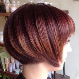 Short Chin Length Dark Red Bob Hairstyle