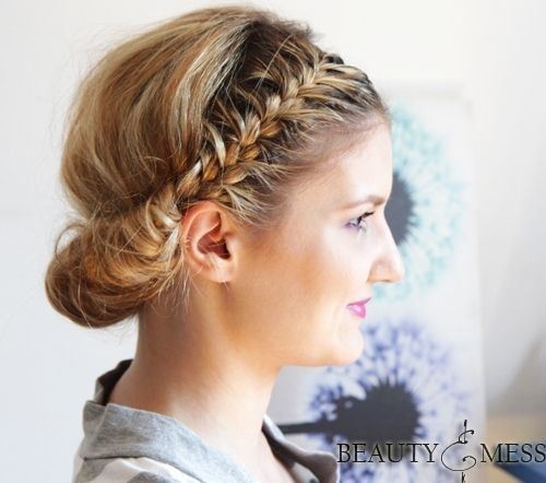 Double Braided Updo Hairstyle