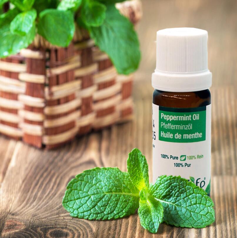 Peppermint Oil For Hair Growth%3A Could It Be That Simple | Luseta Beauty