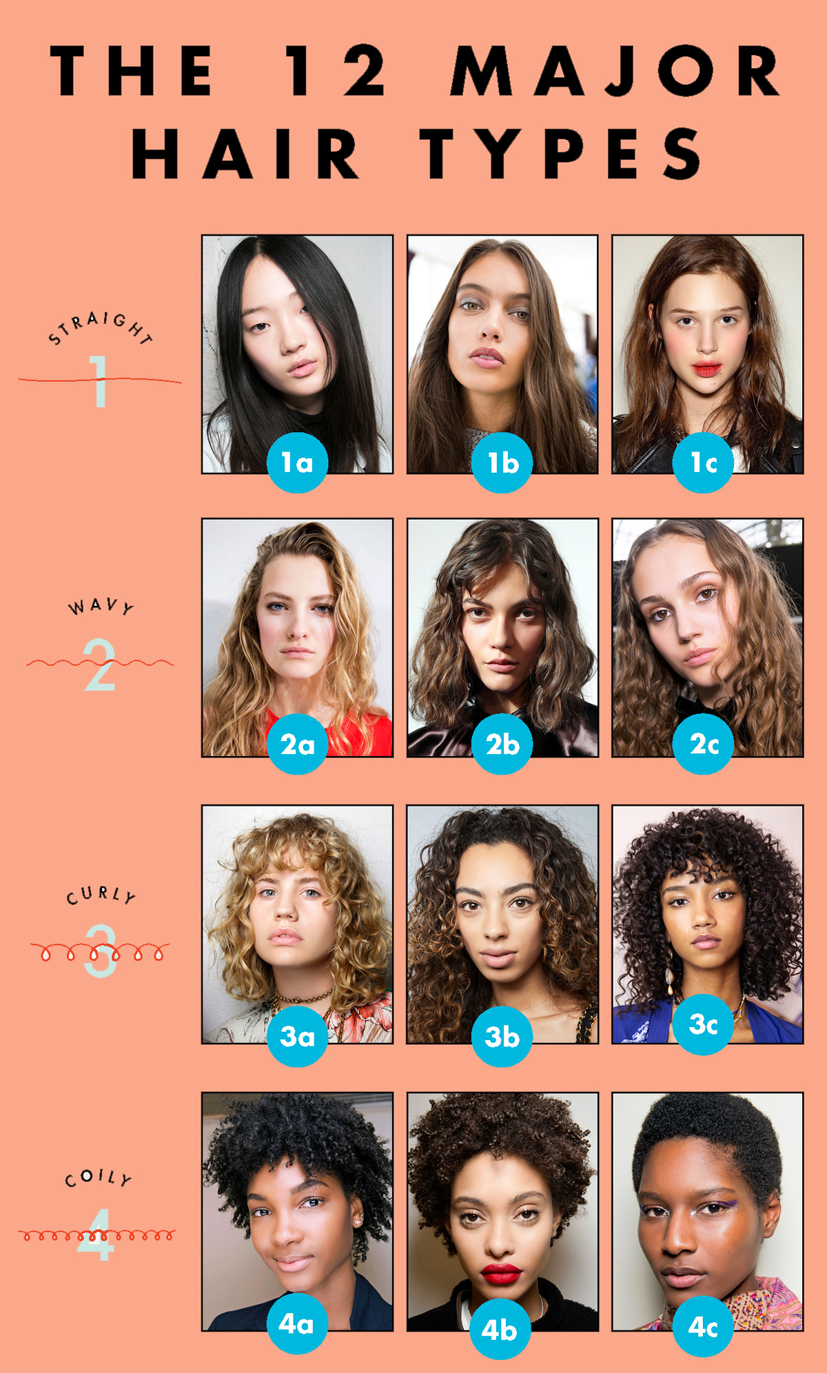 12 hair types chart